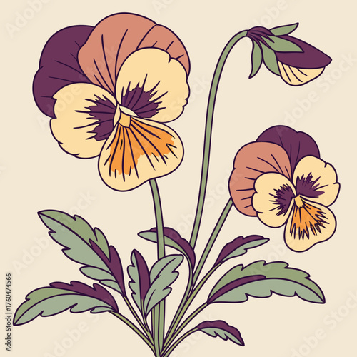 Pansy flowers illustrated with colorful petals and green leaves  