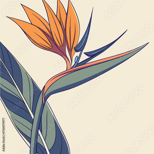 Bird of Paradise flower with vibrant orange and green leaves  