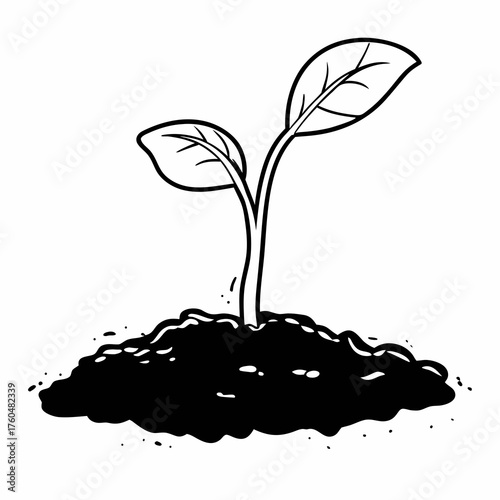 Young plant sprouting from soil in black and white illustration  