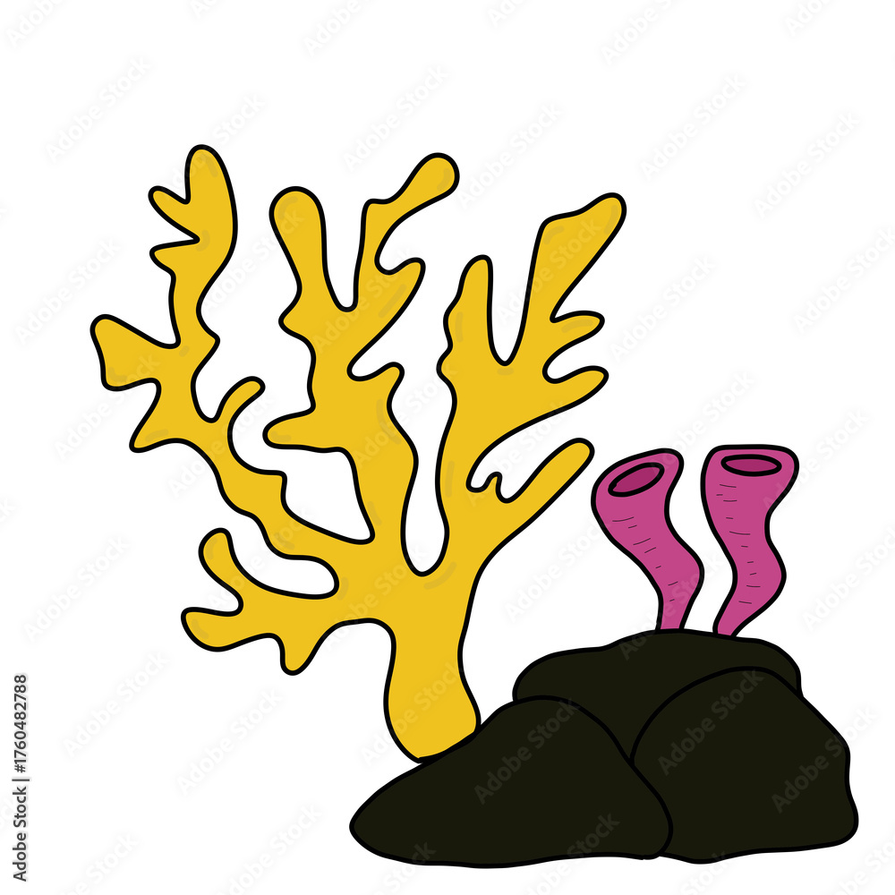 Obraz premium Coral reef