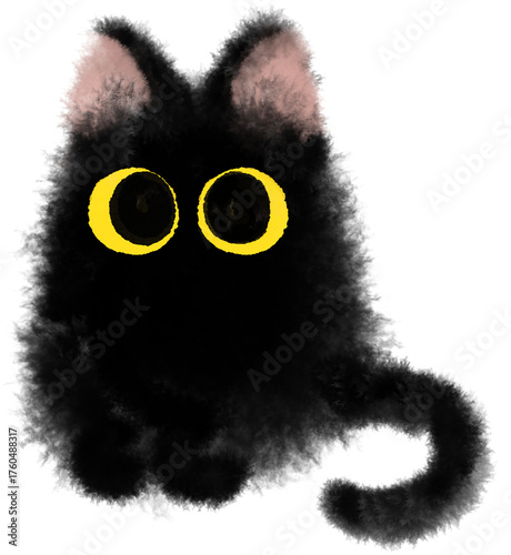 black cat with a white background