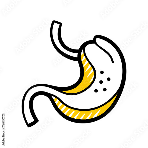 Stomach Function Diagram for Digestive System