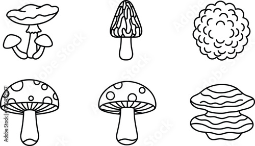 Illustrations of Various Mushroom Types and Shapes