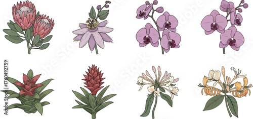 Exquisite Collection of Rare Botanical Flora Specimens