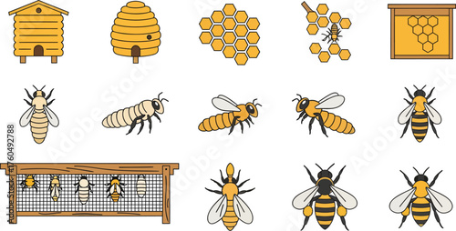 Collection of Beehive and Honeybee Illustrations