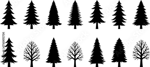 Set of black silhouette coniferous and deciduous trees, forest vector icons in various shapes isolated on white background