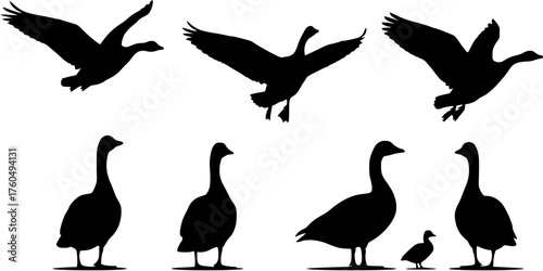 Set of monochrome silhouettes depicting geese in various poses including standing and flying