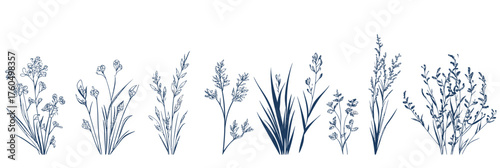 Set of ten different bush grass shrub silhouettes line art vector illustrations isolated on white background minimalist flat design elements for nature and plant concepts collection