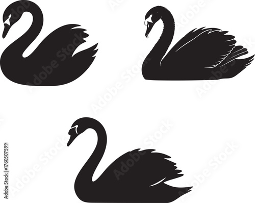 Black Swan Silhouette Vector Icon Set - Graceful Bird Illustrations Isolated on White