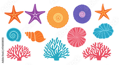 A vibrant collection of colorful seashells starfish and coral from the ocean.