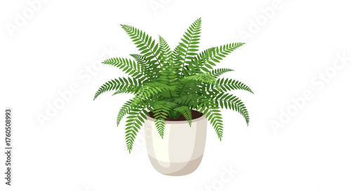Beautiful lush green fern plant in a stylish white pot on a white background.