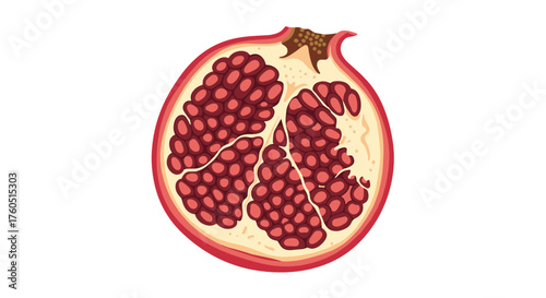 A ripe and juicy pomegranate cut in half revealing its many arils.