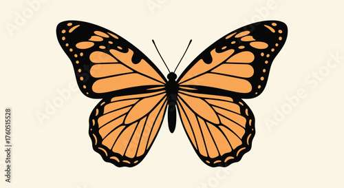 The monarch butterfly is a beautiful orange and black insect that flies.