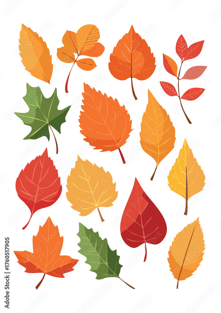 Fototapeta premium A detailed assortment of autumn leaves in warm hues of red, orange, yellow, and green, arranged in a vibrant, symmetrical pattern.