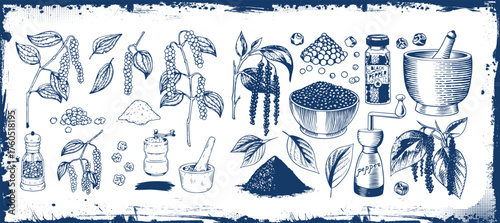Peppercorn and utensils for grinding, engraving vector illustration isolated