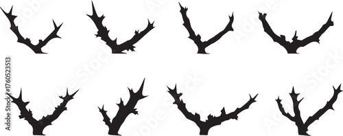 vector silhouette of a tree