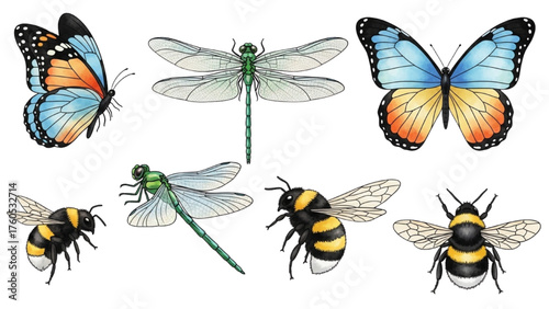 Colorful butterflies, dragonflies, and bees isolated on a white background Illustration