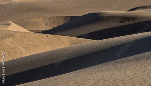 Fototapeta Naklejka Na Ścianę i Meble -  Textured Sand Dunes in Desert Landscape