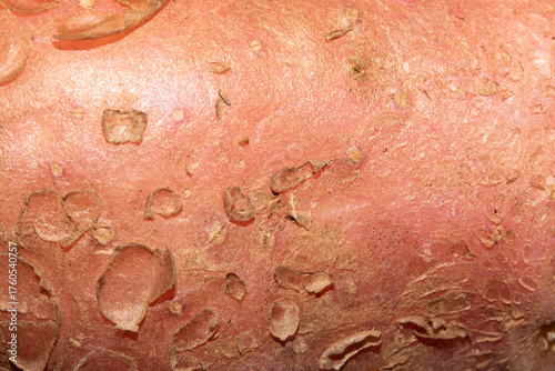 Abstract close up of potato natural vegetable flaky skin