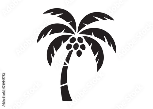 Coconut tree icon, Coconut tree solid vector