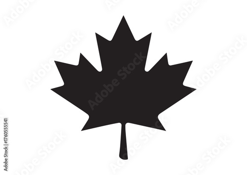 Canadian maple leaf icon, Canadian maple leaf solid vector
