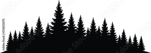 Coniferous forest silhouette panorama vector natural landscape nature evergreen trees woodland vector