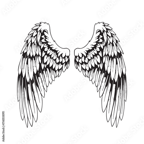 Detailed black and white illustration of a pair of majestic angel wings.