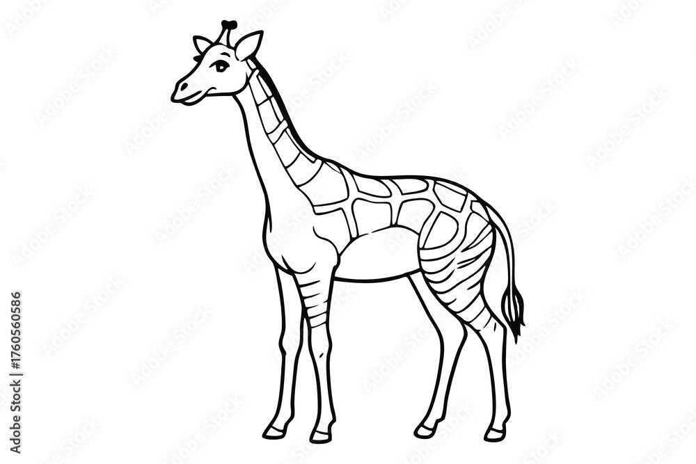 Obraz premium Giraffe Line Art Illustration for Coloring and Design