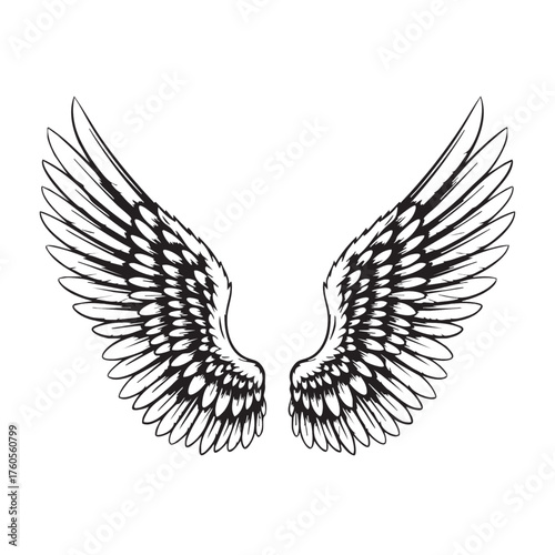 Detailed black and white illustration of majestic angel wings spread wide.