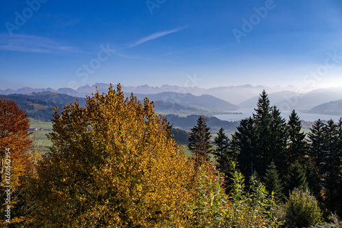 Waldstück am Etzel, nahe Rapperswil