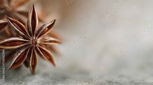 Close-up of a star anise flower. the star-shaped flower is made up of six petals that are arranged in a star-like pattern. the petals are a warm brown color and have a glossy texture.