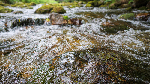 Photos Close-up texture of rushing stream water over mossy, submerged rocks in a riverb