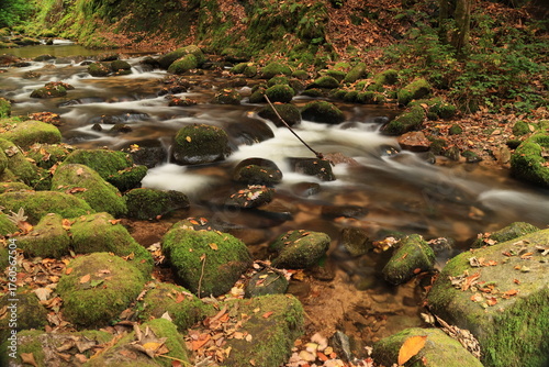 Herbst-Bilder aus dem Nordschwarzwald