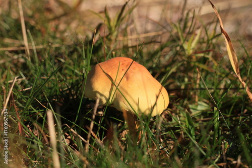 Herbst-Bilder aus dem Nordschwarzwald
