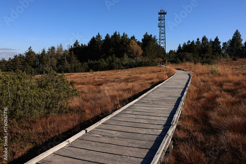 Herbst-Bilder aus dem Nordschwarzwald