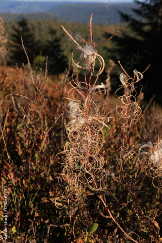 Herbst-Bilder aus dem Nordschwarzwald