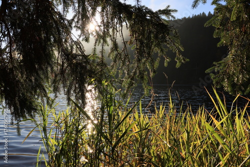 Herbst-Bilder aus dem Nordschwarzwald