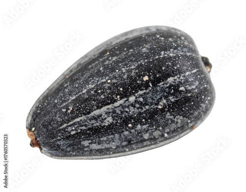 Wallpaper Mural Black sunflower seed macro view showing textured shell detail, plant food ingredient, transparent background Torontodigital.ca