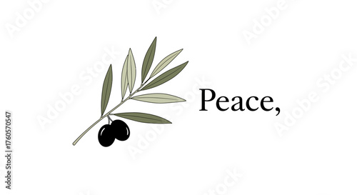 Hand-drawn olive branch with ripe black olives and the word Peace, a universal symbol of tranquility, hope, and reconciliation