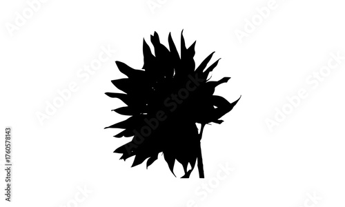 vector illustration of a silhouette of a hedgehog