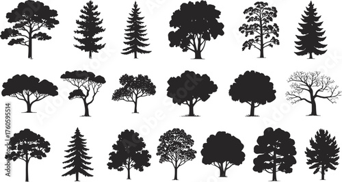 Tree silhouette set, diverse coniferous and deciduous icons, black forest design collection, botanical nature graphics, landscape illustration, tree shape artwork