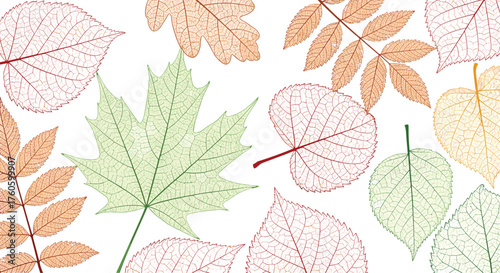 A vibrant collection of autumn leaves in various colors and textures.