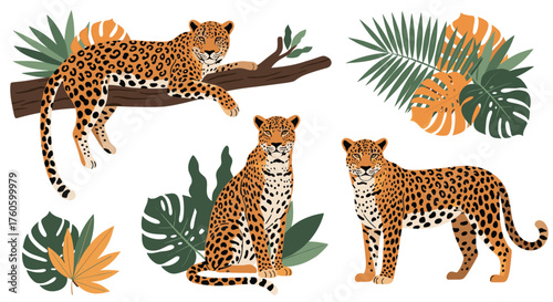 Collection of wild jungle leopards lounging in lush green tropical foliage.