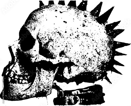 Skull engraving in antique style. Black and white outline vector illustration showcasing detailed texture and retro design.
