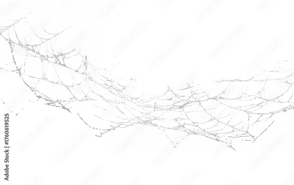 Fototapeta premium spiderweb isolated against transparent background
