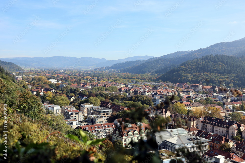 Obraz premium Freiburg im Breisgau zwischen Bergen und Wald