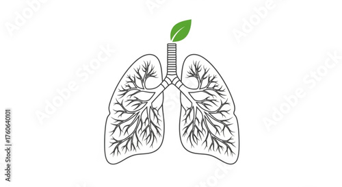 Lungs with green leaf symbol of respiratory health, breathing, clean air, nature, and environment vector illustration