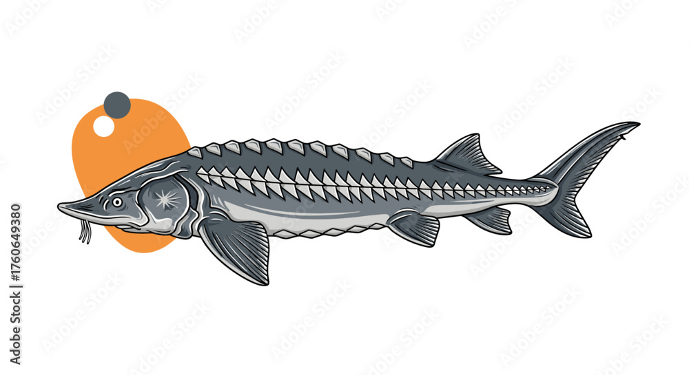 Obraz premium An illustration of a large ancient fish with rows of scutes and barbels near its mouth.