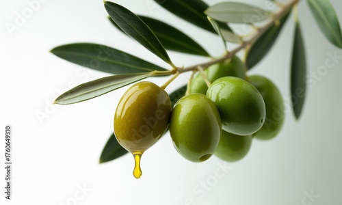 Vibrant green olives on a leafy branch, one fruit gently drips golden oil, white backdrop