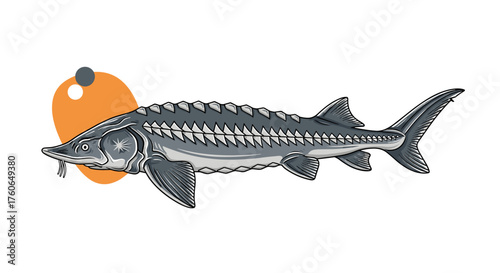 An illustration of a large ancient fish with rows of scutes and barbels near its mouth.